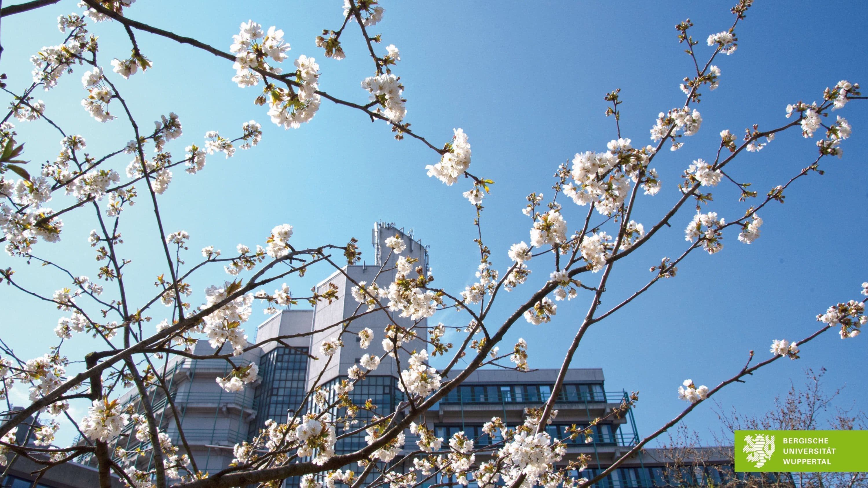 LIGHT, MOLECULES, ACTION! - Optochemical Tools for Biological Processes