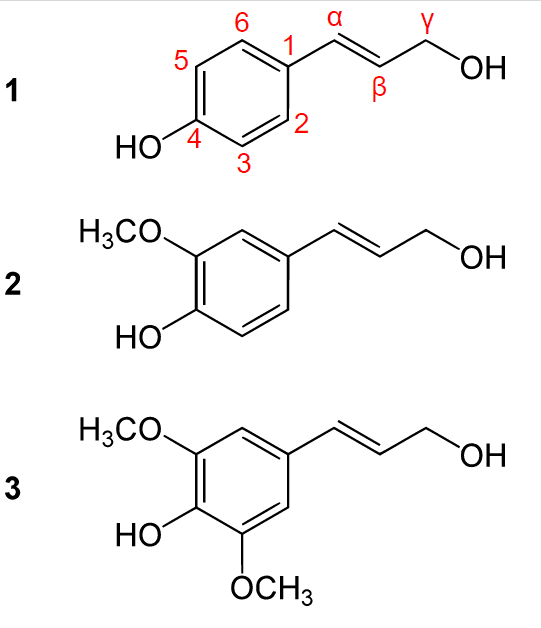 https://cdn.gdch.de/prod/Bild_3_Lignin_Monomere_7750cf80dd.png