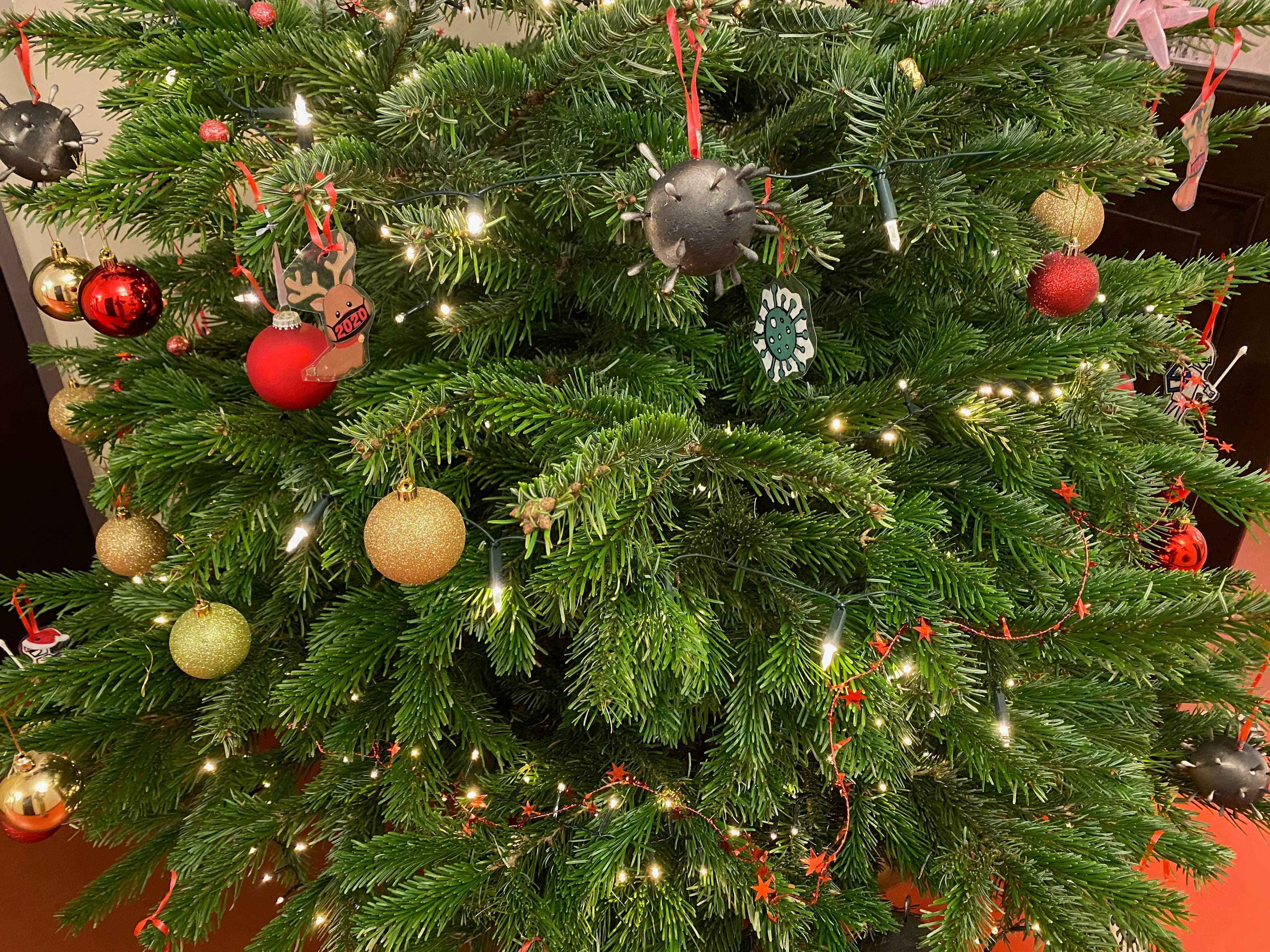 Weihnachtskolloquium des GDCh-Ortsverband Hannover
