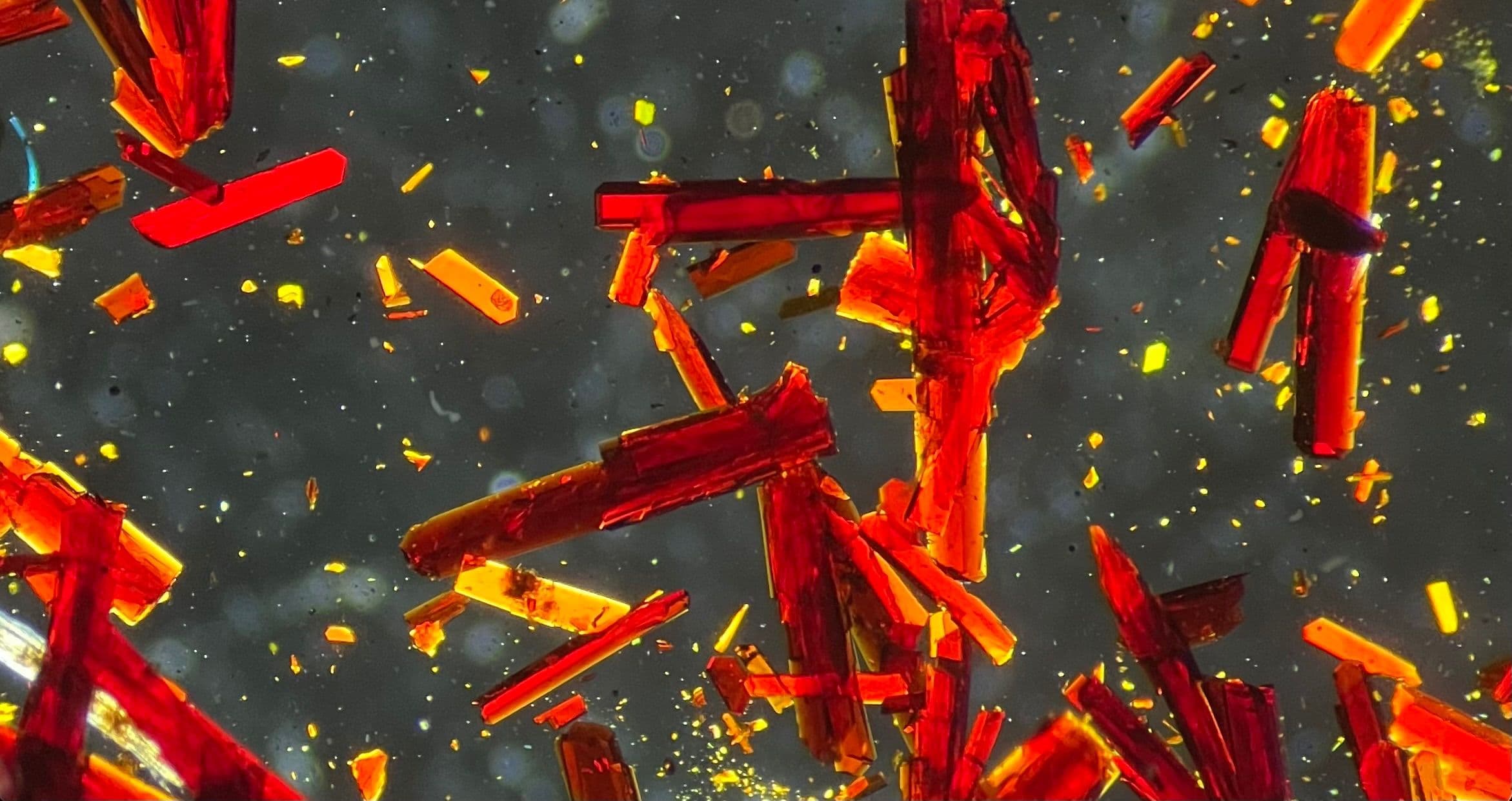 Single Crystal Diffraction - A Hands-On Workshop