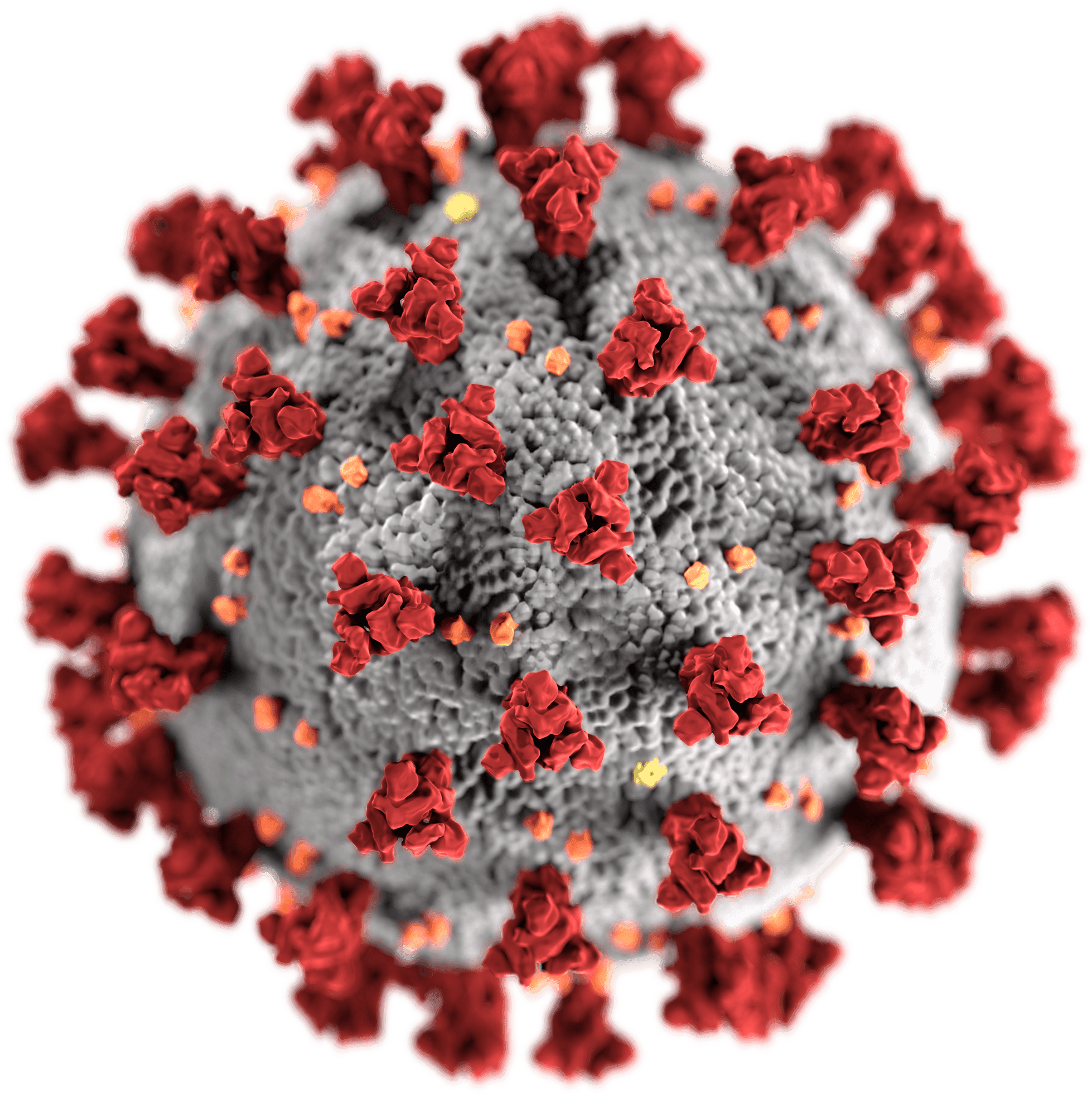 SARS-CoV-2