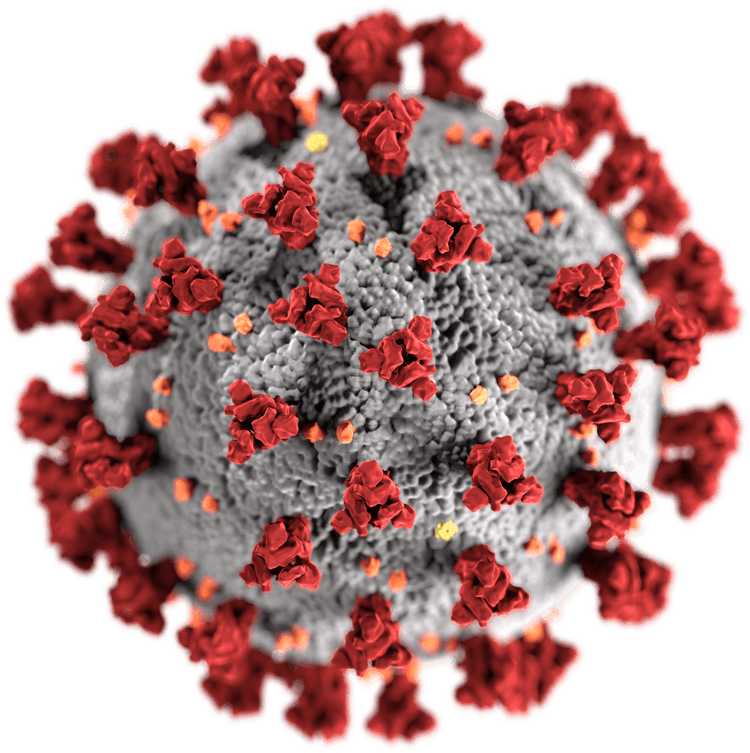 SARS-CoV-2