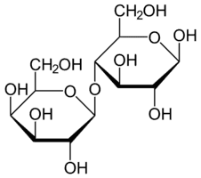 https://cdn.gdch.de/prod/csm_1024px_Lactose_Haworth_svg_298e919558_acec5bf85d.png