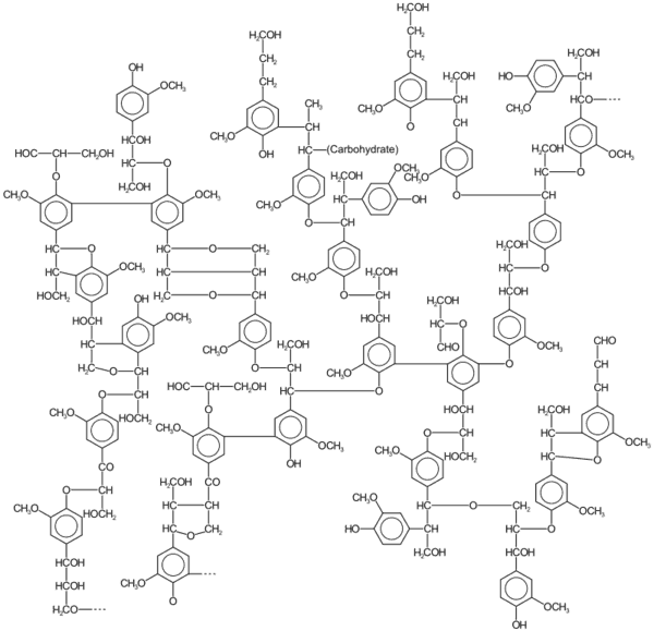 https://cdn.gdch.de/prod/csm_800px_Lignin_structure_svg_1dad04398b_e79519c3d9.png