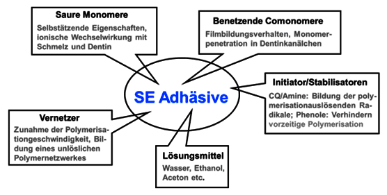 https://cdn.gdch.de/prod/csm_Bild4_KW_9_f1a9325e31_cb510a8f5e.png