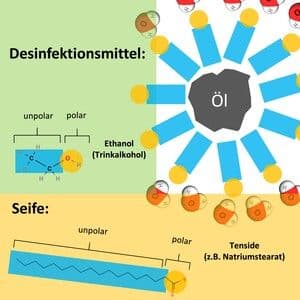 https://cdn.gdch.de/prod/csm_Erli_Viren_Abb4_711452af03_971e2ab08f.jpeg