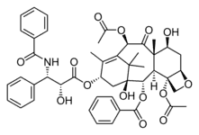 https://cdn.gdch.de/prod/csm_Paclitaxel_wiki_0071b276fe_aa11557cfe.png
