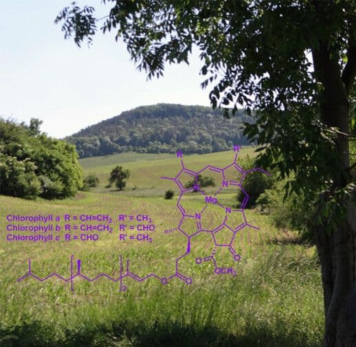 https://cdn.gdch.de/prod/csm_chlorophyl_7811c7bb0d_68e5537b71.jpg