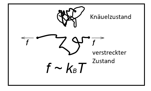 https://eu-central-1.graphassets.com/Aype6X9u2QGewIgZKbFflz/J2pRB0ZS7muXj0xp5HQw