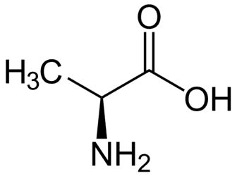 https://cdn.gdch.de/prod/csm_1280px_L_Alanin_L_Alanine_svg_9435512c8c_c19ab9e39a.png