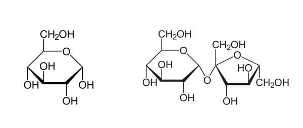 https://cdn.gdch.de/prod/csm_Abb1_Glucose_und_Saccharose_1_3c0430a2e9_aca2a4870d.jpg
