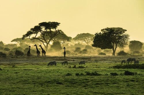 https://cdn.gdch.de/prod/csm_Adobe_Stock_64472028_apinz_3654e9518c_270af1b6fe.jpeg