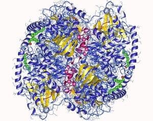 https://cdn.gdch.de/prod/csm_Bild_4_Proteinkinase_763cf9186f_342048446b.jpg