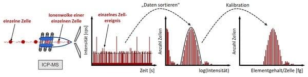 https://cdn.gdch.de/prod/csm_Einzelzellenanalytik_1_05b8b9fabd_3a25626215.jpg