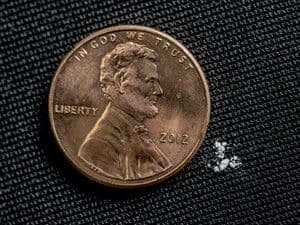 https://cdn.gdch.de/prod/csm_Fentanyl_2_mg_A_lethal_dose_in_most_people_3c06f674a5_302db978e2.jpg