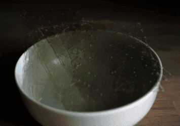 https://cdn.gdch.de/prod/csm_Gelatine_a722104adc_ed50a451da.png