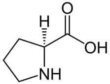 https://cdn.gdch.de/prod/csm_L_Prolin_L_Proline_svg_4e4d3e261e_c13dd677e7.png