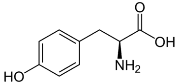 https://cdn.gdch.de/prod/csm_L_Tyrosin_L_Tyrosine_svg_d395e7b971_24aea41b16.png