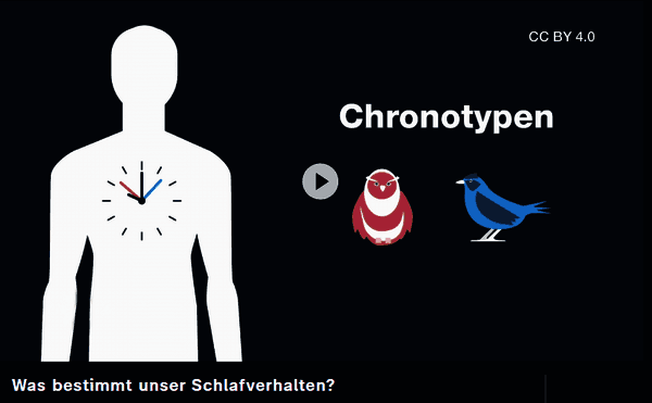https://cdn.gdch.de/prod/csm_Screenshot_Video_abadff9cb5_9399f4a9d2.png