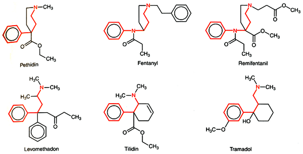 https://cdn.gdch.de/prod/csm_Synthetic_Opiates_Schaumann_504184776c_3c55c387ff.png